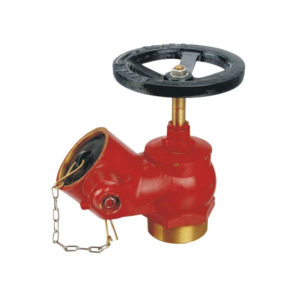 BSP sned hydrantventil